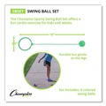 Clearance Center | Champion Sports SBSET 5.5 in. Diameter Swing Ball Set - Assorted Colors (6/Set) image number 9
