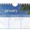Bulletin Boards | AT-A-GLANCE DMWTE828 12-Month (Jan to Dec): 2026 15 in. x 12 in. Tropical Escape Photography Tropical Escape Wall Calendar - Pale Blue/Multicolor Sheets image number 3