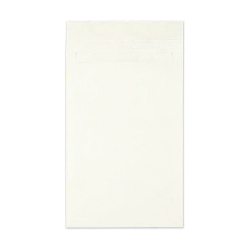 Pens | Survivor QUAR4290 12 in. x 16 in. No. 15-1/2 Heavyweight 18 lbs. Tyvek Open End Expansion Mailers - White (100/Carton) image number 0