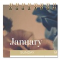 Bulletin Boards | AT-A-GLANCE 1768707 15 in. x 12 in. 12-Month (Jan-Dec): 2026 Midnight Garden Monthly Wall Calendar - Floral Artwork image number 2