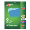 Dividers & Tabs | Avery 05029 0.66 in. x 3.44 in. Permanent File Folder Labels with Sure Feed Technology - Clear (30/Sheet, 15 Sheets/Pack) image number 0