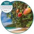 Odor Control | Fresh Products MAIR-F-000I012M-75 Fusion Metered Aerosols - Mango Breeze (12/Carton) image number 4