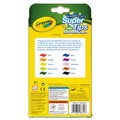 Washable Markers | Crayola 588610 Fine/Broad Bullet Tips Washable Super Tips Markers - Assorted Colors (10/Set) image number 2