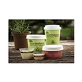 Cups and Lids | Pactiv Corp. DPHC16EC EarthChoice 16 oz. Compostable Paper Cups - Green (1000/Carton) image number 9
