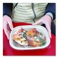 Food Trays, Containers, and Lids | World Centric CTLCS3 8.8 in. x 6.9 in. x 0.8 in. Plastic PLA Lids for Fiber Containers - Clear (400/Carton) image number 3
