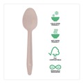 Cutlery | Eco-Products EP-S213-W General Purpose Spoon Wood Cutlery - Natural (500/Carton) image number 6