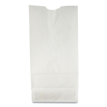 Ross & Wallace Paper Products 120302500PK/BL 4.13 in. x 2.63 in. x 7.88 in. #2 Size Grocery Paper Bags - White (500/Bundle)