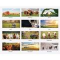 Back to School Sale | House of Doolittle 316 11 in. x 14 in. 12-Month (Jan-Dec 2026) 100 Percent Recycled Farm Life Wall Calendar - White/Multicolor Sheets image number 1