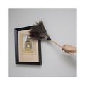 Just Launched | Boardwalk BWK23FD 13 in. Handle Professional Ostrich Feather Duster image number 6