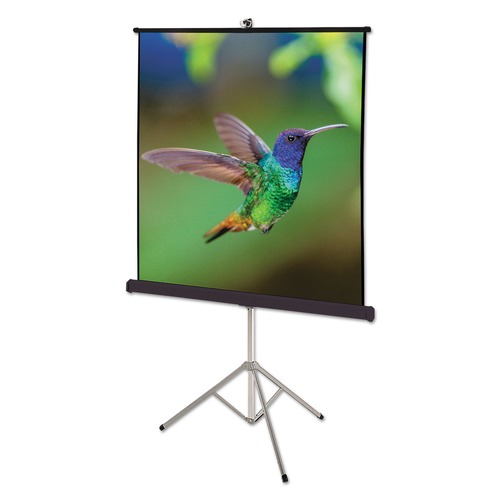 Clearance Center | Quartet 570S 70 in. x 70 in. Portable Tripod Projection Screen - White Matte Finish image number 0