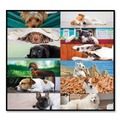 Bulletin Boards | Blueline C194116 12-Month (Jan to Dec): 2026 22 in. x 17 in. Puppies Photography Pets Collection Monthly Desk Pad - Black Binding/Clear Corners image number 2