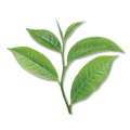 Food and Snacks | Bigelow RCB07906 1.90 oz. Green Tea Pods (18/Box) image number 4