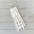Cutlery | Boardwalk BWK6COMBOKITPP 5.86 in. 6-Piece Mediumweight Plastic Cutlery Fork/Knife/Napkin/Pepper/Salt/Spoon Kit - White (250/Carton) image number 2