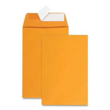  | Quality Park QUA44162 Redi-Strip 6 in. x 9 in. No. 1 Cheese Blade Flap Adhesive Closure Catalog Envelope - Brown Kraft (100/Box)