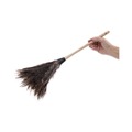Just Launched | Boardwalk BWK23FD 13 in. Handle Professional Ostrich Feather Duster image number 2