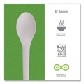  | Eco-Products EP-S013 6 in. Plantware Renewable and Compostable Spoon (1000/Carton) image number 2