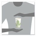 Cups and Lids | SOLO RW16BB-JD110 Bare Eco-Forward 16 oz. Paper Cold Cups - Green/White (1000/Carton) image number 6