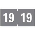 Labels | Smead 68319 0.75 in. x 1.5 in. "19-in Yearly End Tab File Folder Labels - Gray (500/Roll) image number 0