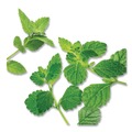 Beverages & Drink Mixes | Bigelow RCB003931 Herbal Tea - Mint Medley (28/Box) image number 5
