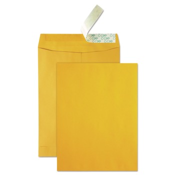 Quality Park QUA41620 Redi-Strip 10 x 13 Cheese Blade Flap High Bulk Catalog Envelope - Brown Kraft (250/Carton)