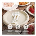 Cutlery | World Centric SP-CS-3 3 in. PLA Compostable Cutlery Tasting Spoon - White (3000/Carton) image number 1