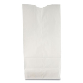 RETAIL BAGS | Ross & Wallace Paper Products 120306500PK/BL 5.88 in. x 3.63 in. x 11 in. #6 Size Grocery Paper Bags - White (500/Bundle)