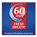 Snacks | Dentyne Ice 00 12546 31254 00 Peppermint Flavor Sugarless Gum (9/Box) image number 4