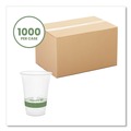 Cups and Lids | Vegware R500Y-G 16 oz. 96-Series Compostable Cold Cup - Clear/Green (1000/Carton) image number 1