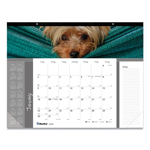 Bulletin Boards | Blueline C194116 12-Month (Jan to Dec): 2026 22 in. x 17 in. Puppies Photography Pets Collection Monthly Desk Pad - Black Binding/Clear Corners image number 0