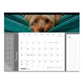 Bulletin Boards | Blueline C194116 12-Month (Jan to Dec): 2026 22 in. x 17 in. Puppies Photography Pets Collection Monthly Desk Pad - Black Binding/Clear Corners image number 0