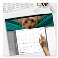 Bulletin Boards | Blueline C194116 12-Month (Jan to Dec): 2026 22 in. x 17 in. Puppies Photography Pets Collection Monthly Desk Pad - Black Binding/Clear Corners image number 3