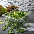 Food Trays, Containers, and Lids | Carlisle 10222B07 10.38 in. x 12.75 in. x 6 in. 8.7 qt. StorPlus Plastic Polycarbonate Food Pan - Clear image number 4