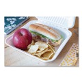 Food Trays, Containers, and Lids | SCT 18935WPF ChampWare Molded-Fiber Clamshell Containers, 9 x 9 x 3, White, 100/Sleeve, 2 Sleeves/Carton image number 4