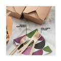 Cutlery | Pactiv Corp. YPSMFTEC EarthChoice PSM Heavyweight Plastic Cutlery Fork - Tan (1000/Carton) image number 7