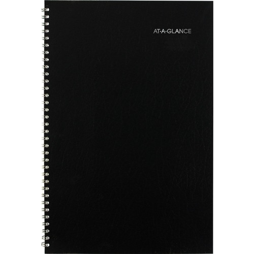 Notebooks & Pads | AT-A-GLANCE AY200 12 in. x 8 in. 14-Month (Jul 2025-Aug 2026) DayMinder Ruled Blocks Monthly Planner - Black Cover image number 0