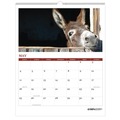 Back to School Sale | House of Doolittle 316 11 in. x 14 in. 12-Month (Jan-Dec 2026) 100 Percent Recycled Farm Life Wall Calendar - White/Multicolor Sheets image number 3