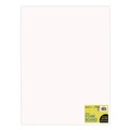 Project & Display Boards | Royal Brites 26984 15 in. x 20 in. 3/16 in. Thick Foam Board - White (10/Pack) image number 0