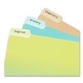 Dividers & Tabs | Avery 05029 0.66 in. x 3.44 in. Permanent File Folder Labels with Sure Feed Technology - Clear (30/Sheet, 15 Sheets/Pack) image number 2