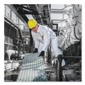 Safety & First Aid | Ansell 49105 A20 Breathable Particle Protection Coveralls with Zip Closure - Double Extra Large, White (24/Carton) image number 5