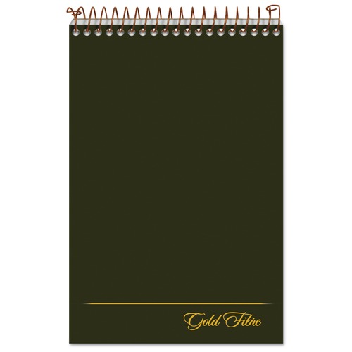 Just Launched | Ampad 20-806R Gold Fibre 6 in. x 9 in. Spiral Steno Book - Gregg, Green/Gold Cover/White Pad (100 Sheets/Pad) image number 0