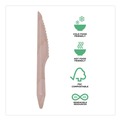 Cutlery | Eco-Products EP-S211-W Knife Wood Cutlery - Natural (500/Carton) image number 4
