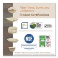Food Trays, Containers, and Lids | World Centric TR-SC-60-LFP 60 oz 7.5 in. x 9.8 in. x 2.7 in. Paper Fiber Containers - Natural (400/Carton) image number 3