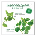 Beverages & Drink Mixes | Bigelow RCB003931 Herbal Tea - Mint Medley (28/Box) image number 2