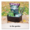Boxes & Bins | Storex 00973E06C Large Caddy, 13 x 11 x 6.38, Black, 6/Pack image number 3
