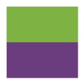 Erasers & Correction Supplies | Paper Mate Liquid Paper 6137206 0.17 in. x 472 in. DryLine Non-Refillable Correction Tape - Green/Purple Applicators (2/Pack) image number 5