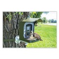Office Electronics & Batteries | TECHNAXX 4923 TX-165 8 Megapixels Full HD Birdcam - Black/Green image number 1