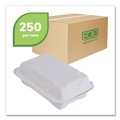 Clearance Center | Eco-Products EP-HC96NFA Vanguard 9 in. x 6 in. x 3 in. 1-Compartment Renewable and Compostable Sugarcane Clamshells - White (250/Carton) image number 1