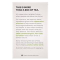 Beverages & Drink Mixes | Tazo 10794522003096 1.2 oz. Tea Bags - Organic Zen (96/Carton) image number 2