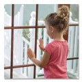 All-Purpose Cleaners | Rust-Oleum 352245 Professional Cleaners Glass Cleaner 32 oz Spray Bottle (6/Carton) image number 1