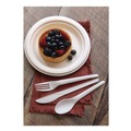  | Eco-Products EP-S013 6 in. Plantware Renewable and Compostable Spoon (1000/Carton) image number 5